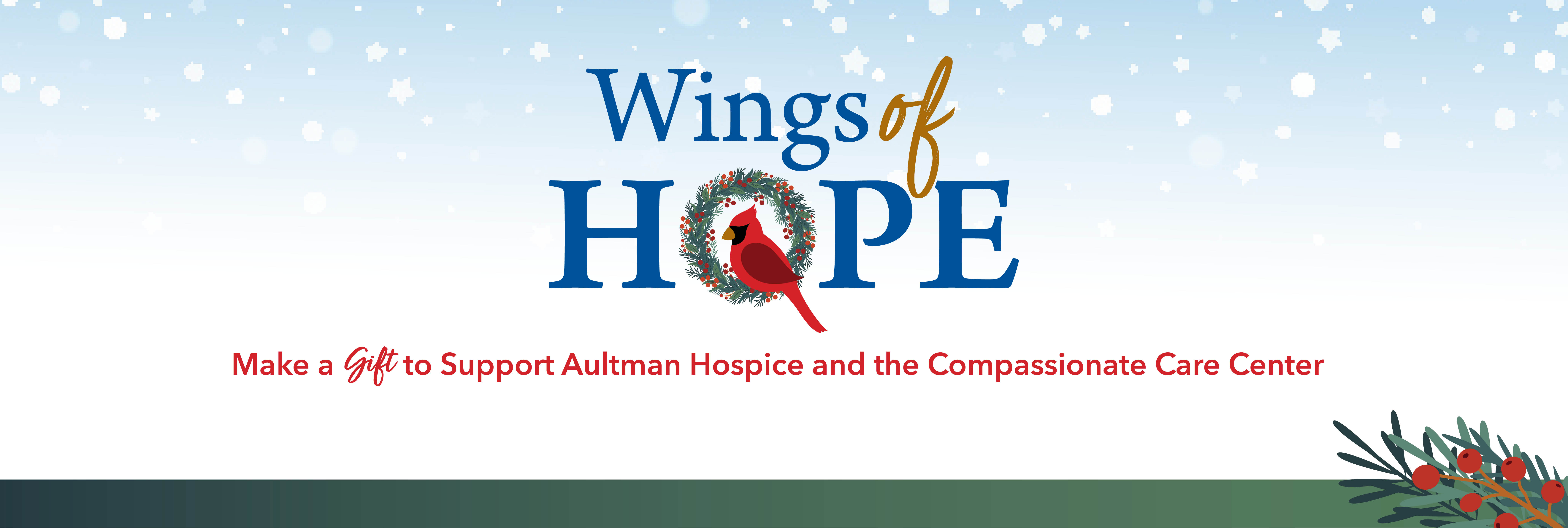 Wings of Hope TAF Website banner 4041 1362